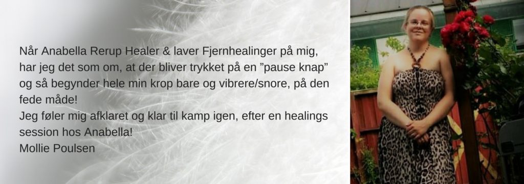 Mollie anbefaling healing