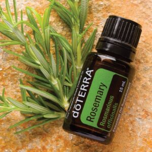 rosmarin æterisk olie rosemary oil