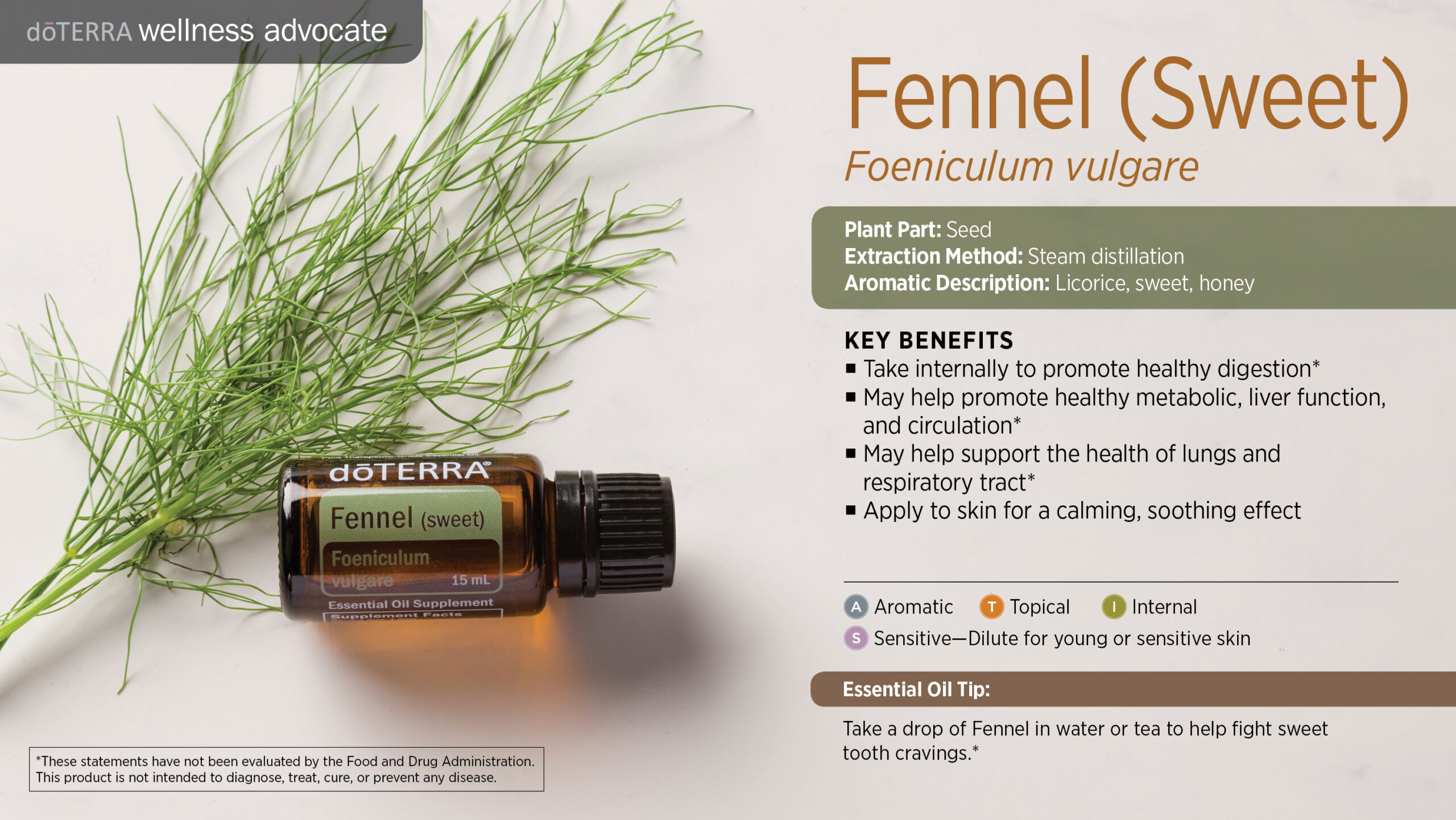 Fennel olie