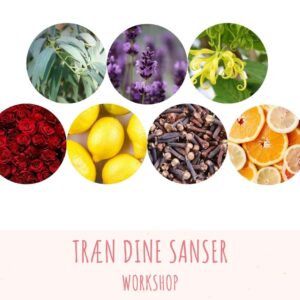Workshop Træn Dine Sanser – 7. april 22