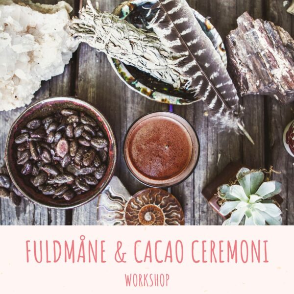 Fuldmåne og Cacao ceremoni