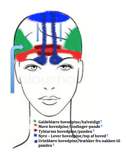 hovedpiner 5 elementer