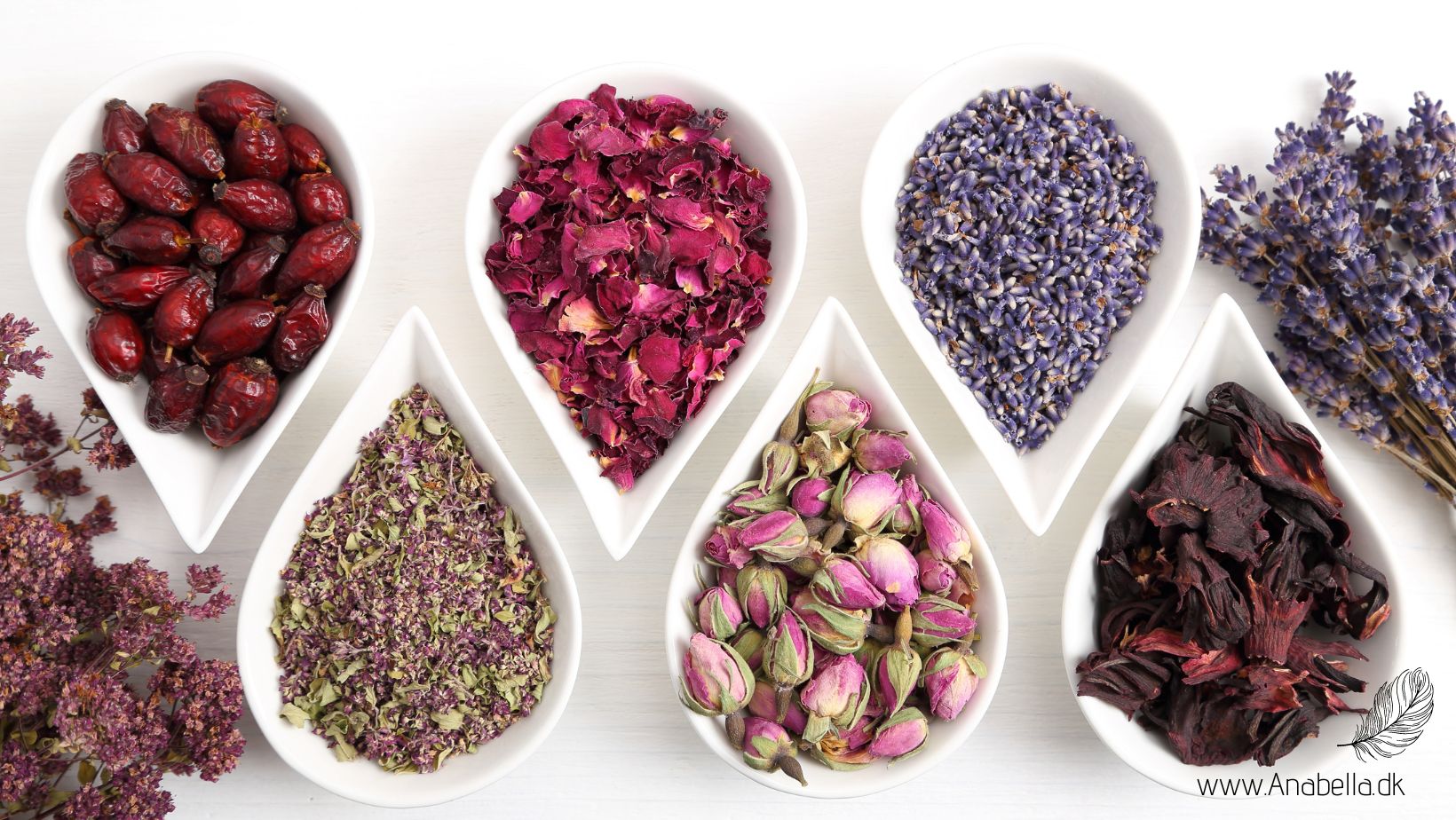 Read more about the article Hvad kan Aromaterapi?