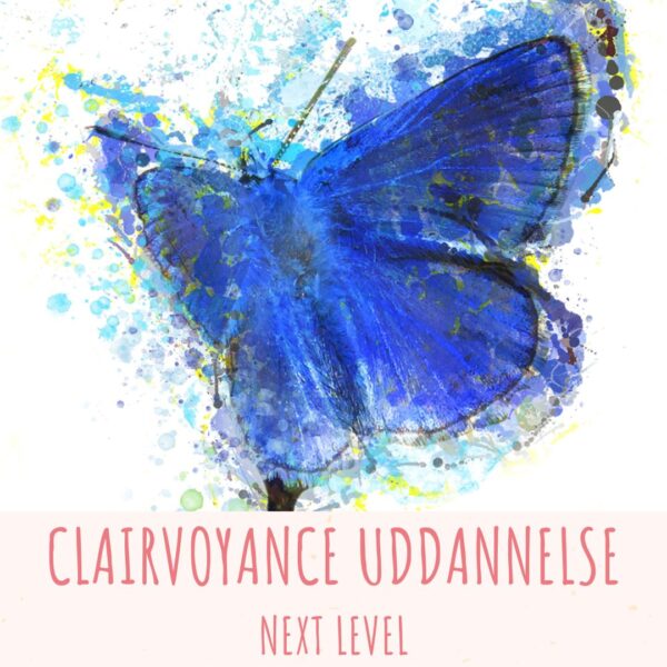 clairvoyance uddannelse