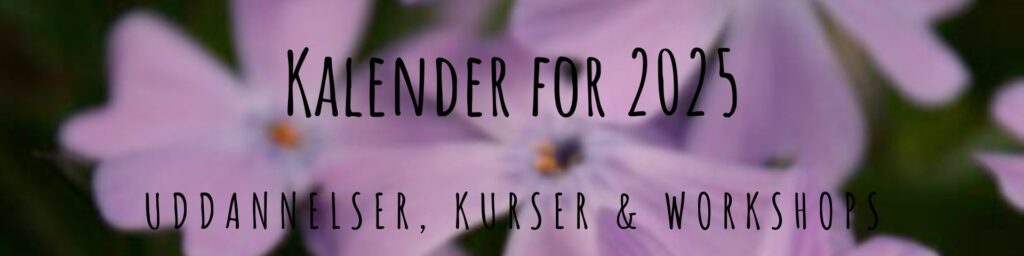 Kalender 1 Anabellas kalender 2025