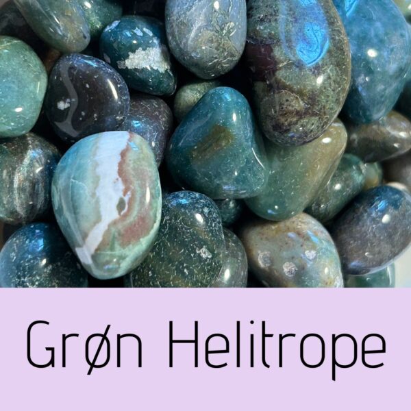 Grøn Helitrope