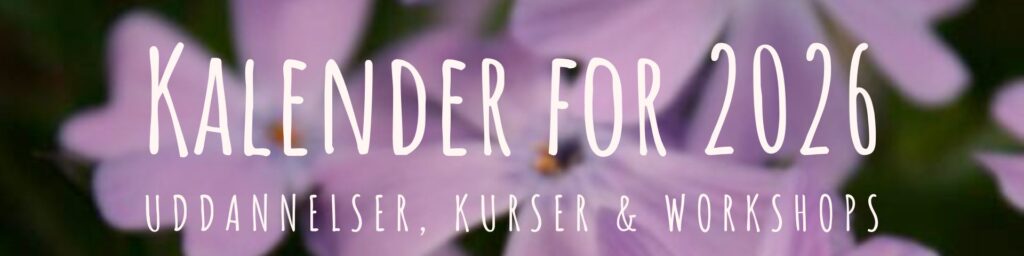 Anabellas kalender 2026