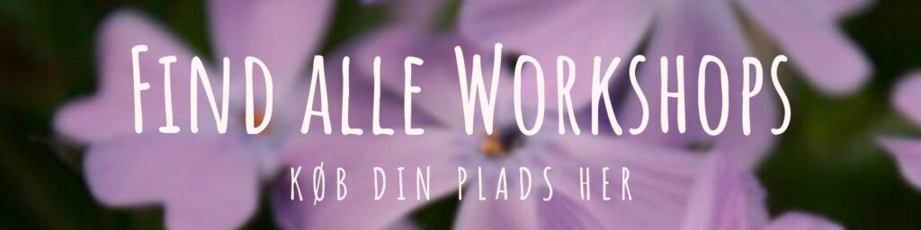 Find alle workshops her