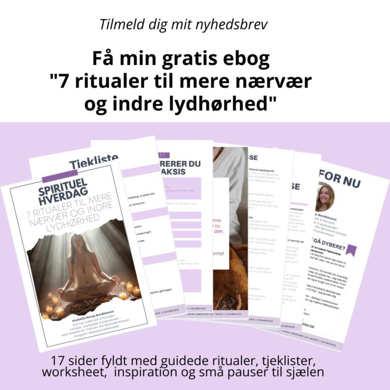 Anabella nyhedsbrev 2026 SOME Firkantet