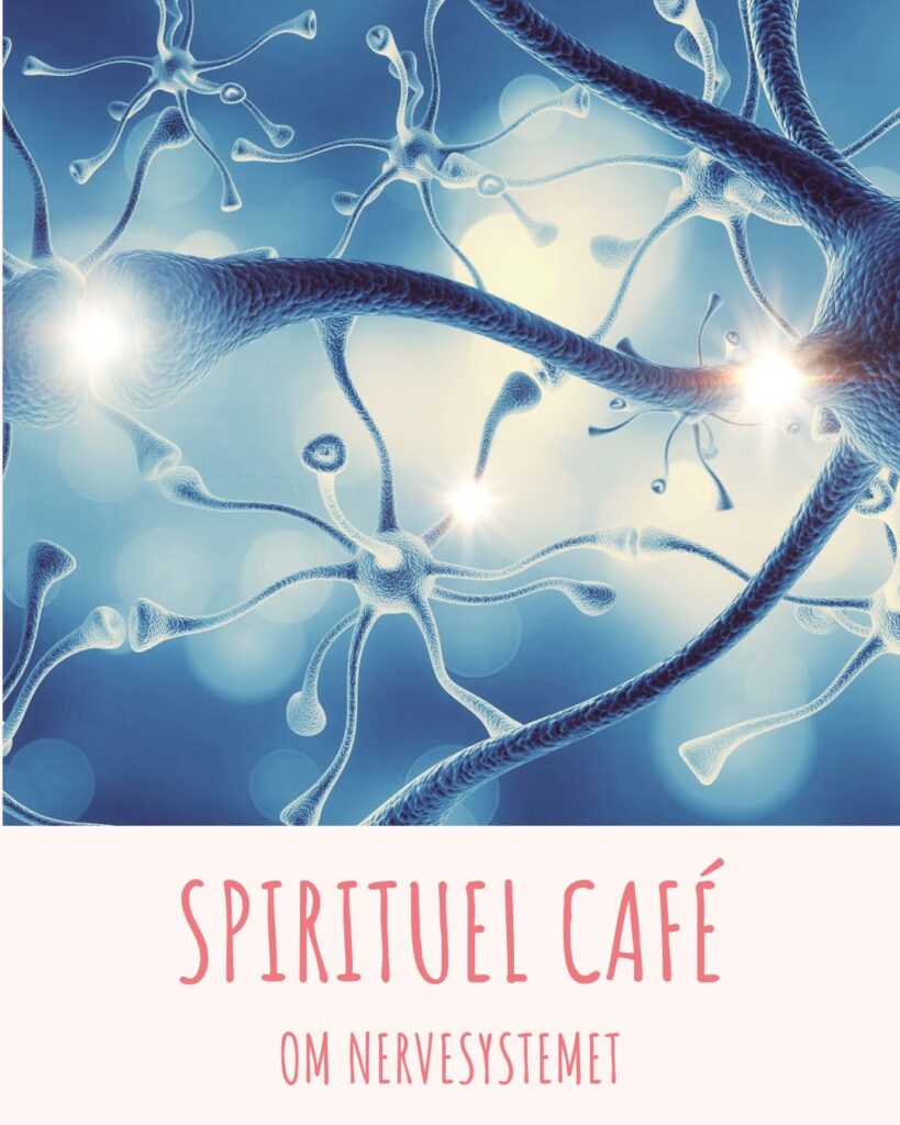 Spirituel café aften med Lotte Weaver om at lære nervesystemet at kende