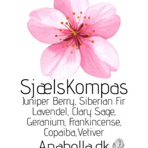SjælsKompas  10 ml. Olieblanding